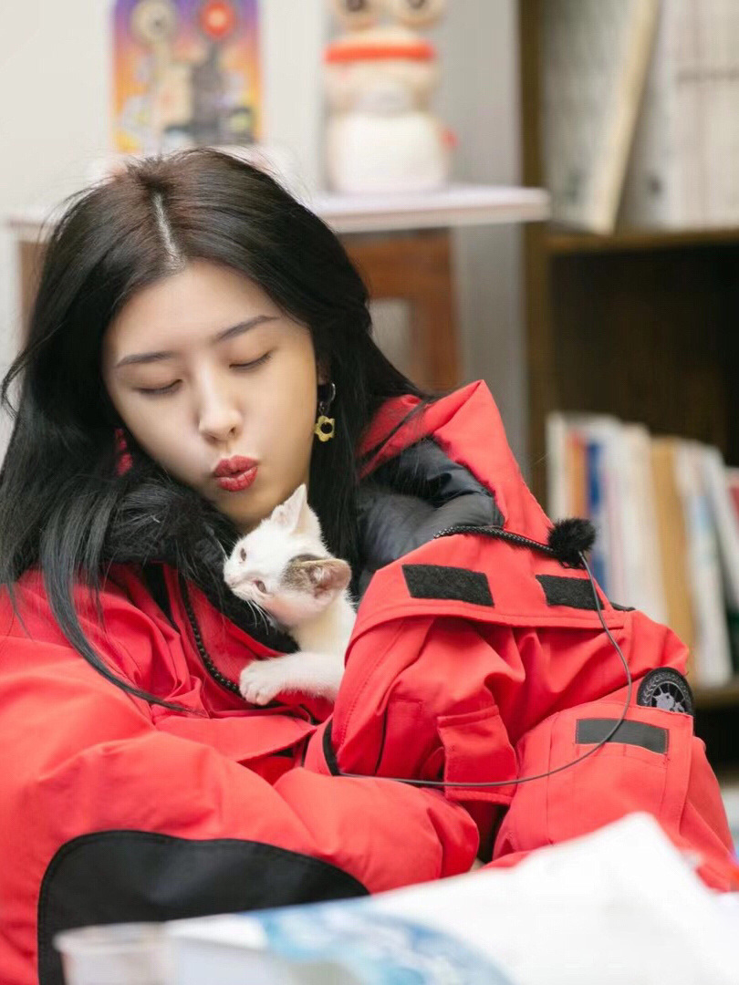 赵小棠真可爱啊，猫也喜欢美女的