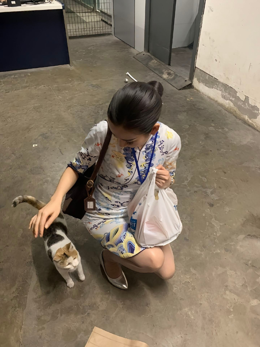 我的猫咪和她的猫咪